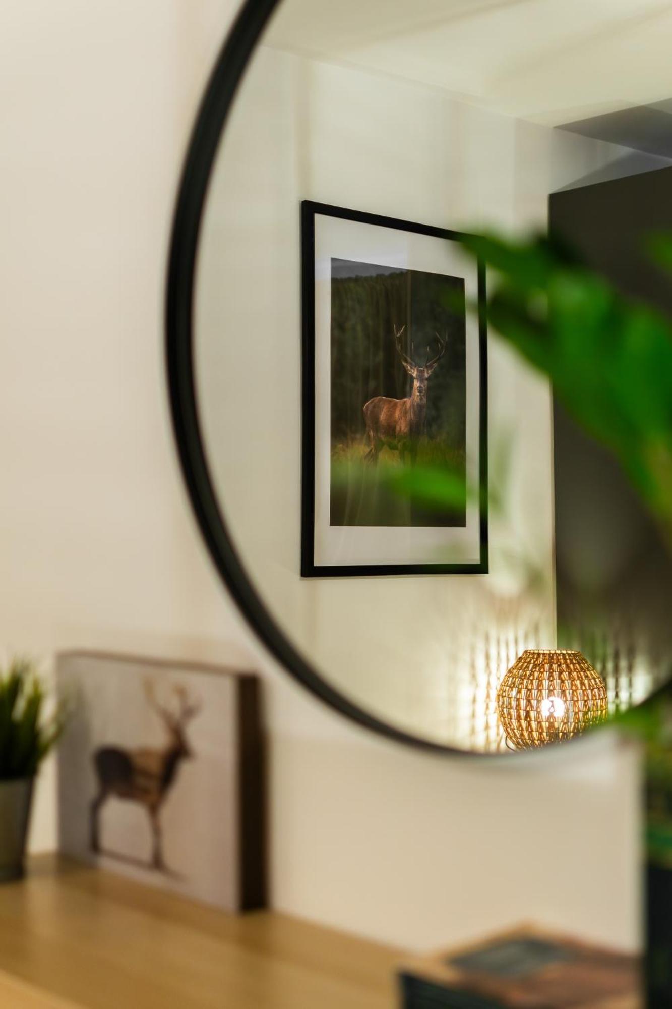 The Cozy Deer Apartment 시나이아 외부 사진